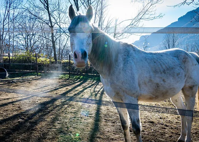 Le Reve D'hote Saint-Vincent